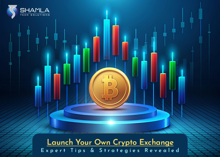 Launch your cryptocurrency exchange